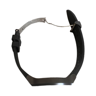 FP Journe Elegante Titalyt 48